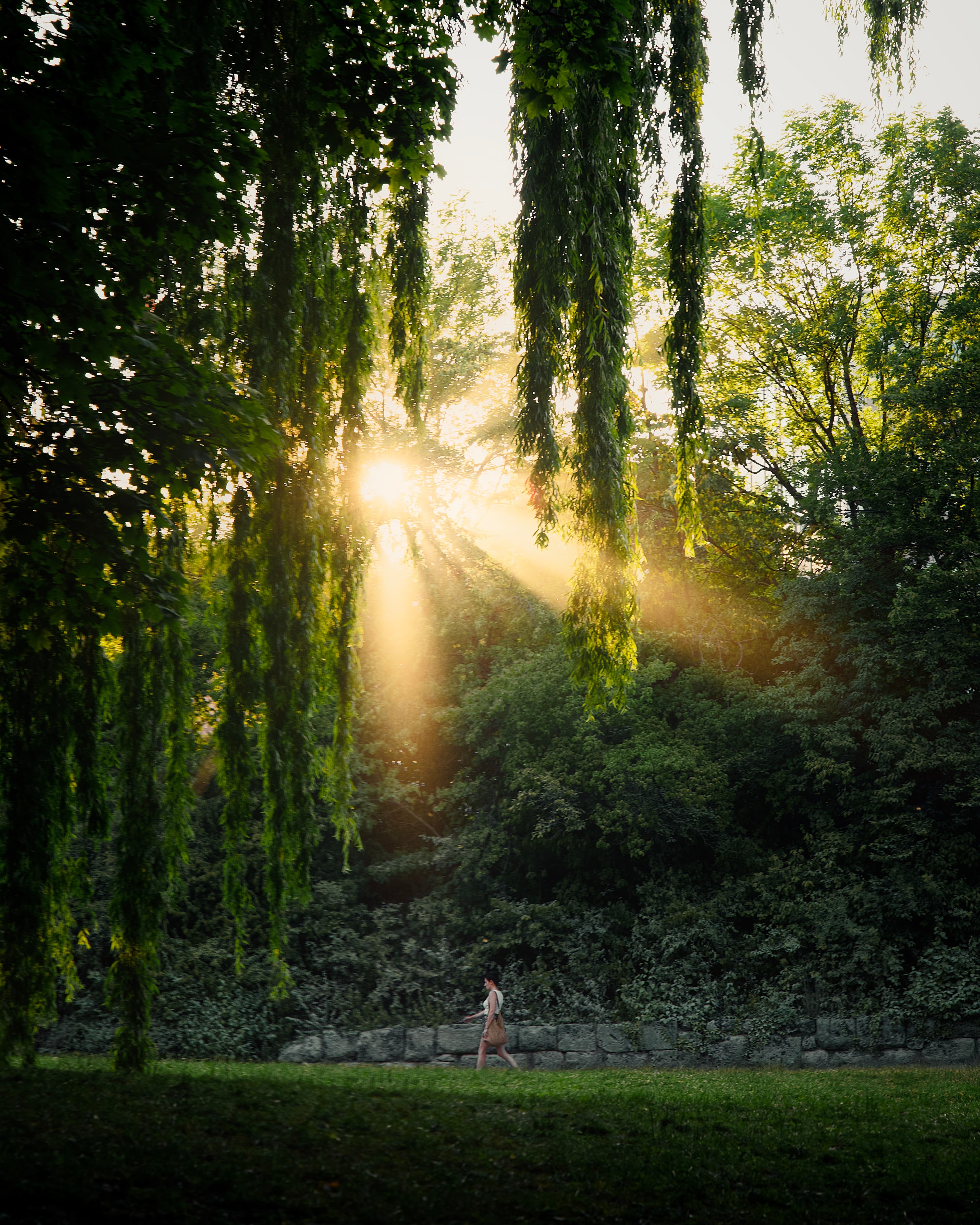 Munich — Photography by Peter Neupauer (@peterneupauer)