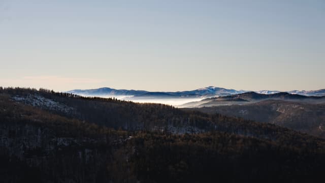 Nature — Photography by Peter Neupauer (@peterneupauer) Nature — Photography by Peter Neupauer (@peterneupauer)