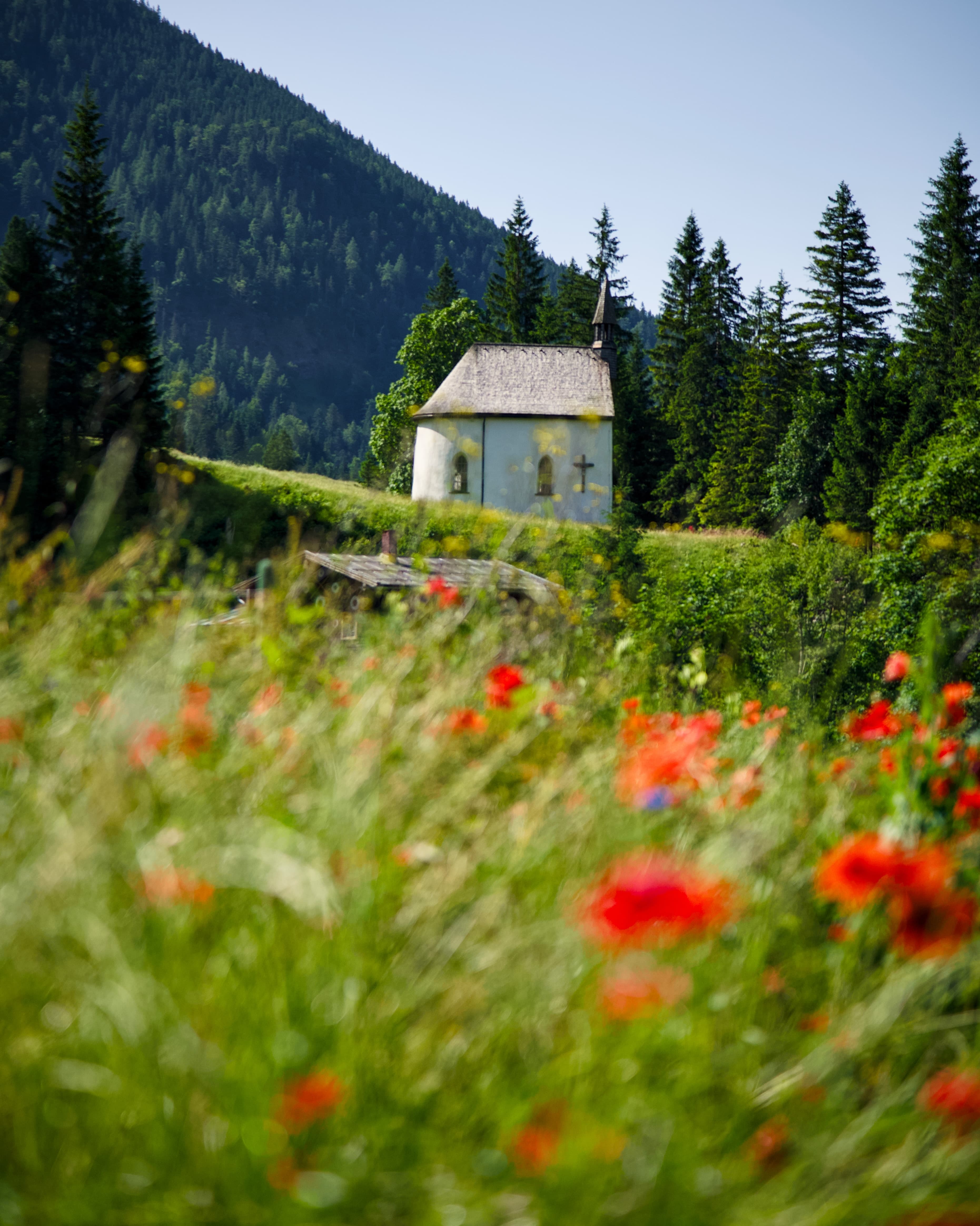 Valley - Bavaria, Germany — Photography by Peter Neupauer (@peterneupauer)