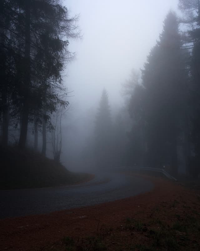 Into the Fog 5 - Slovakia — Photography by Peter Neupauer (@peterneupauer) Into the Fog 5 - Slovakia — Photography by Peter Neupauer (@peterneupauer)