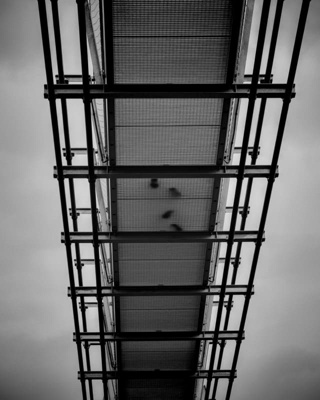 Mesh and shadows - Sátoraljaújhely, Hungary — Photography by Peter Neupauer (@peterneupauer) Mesh and shadows - Sátoraljaújhely, Hungary — Photography by Peter Neupauer (@peterneupauer)