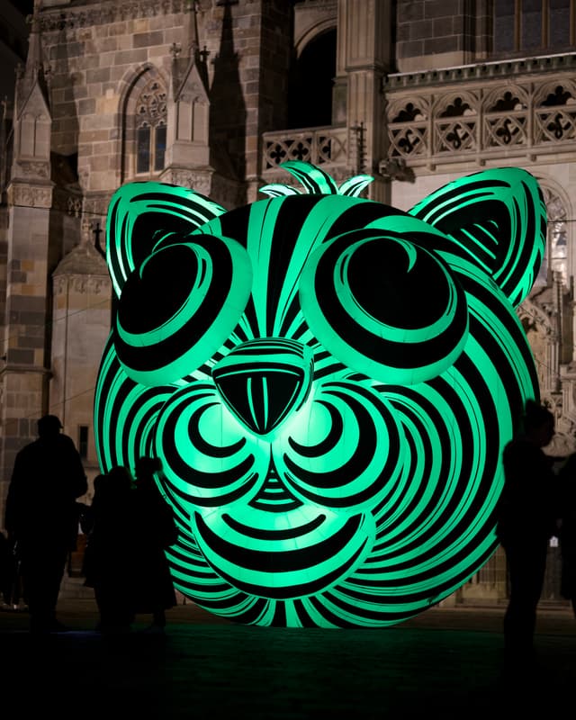 White Night - Festival of Contemporary Art - Košice, Slovakia — Photography by Peter Neupauer (@peterneupauer) White Night - Festival of Contemporary Art - Košice, Slovakia — Photography by Peter Neupauer (@peterneupauer)