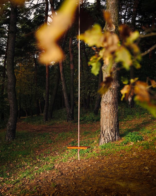 Solitude standing — Photography by Peter Neupauer (@peterneupauer) Solitude standing — Photography by Peter Neupauer (@peterneupauer)