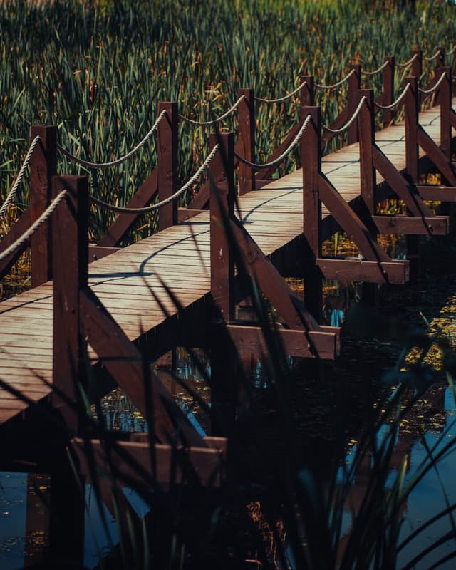 Bridge - Oborín, Slovakia — Photography by Peter Neupauer (@peterneupauer) Bridge - Oborín, Slovakia — Photography by Peter Neupauer (@peterneupauer)