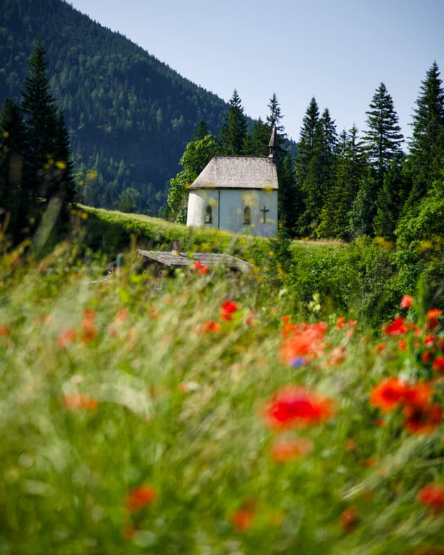 Valley - Bavaria, Germany — Photography by Peter Neupauer (@peterneupauer) Valley - Bavaria, Germany — Photography by Peter Neupauer (@peterneupauer)